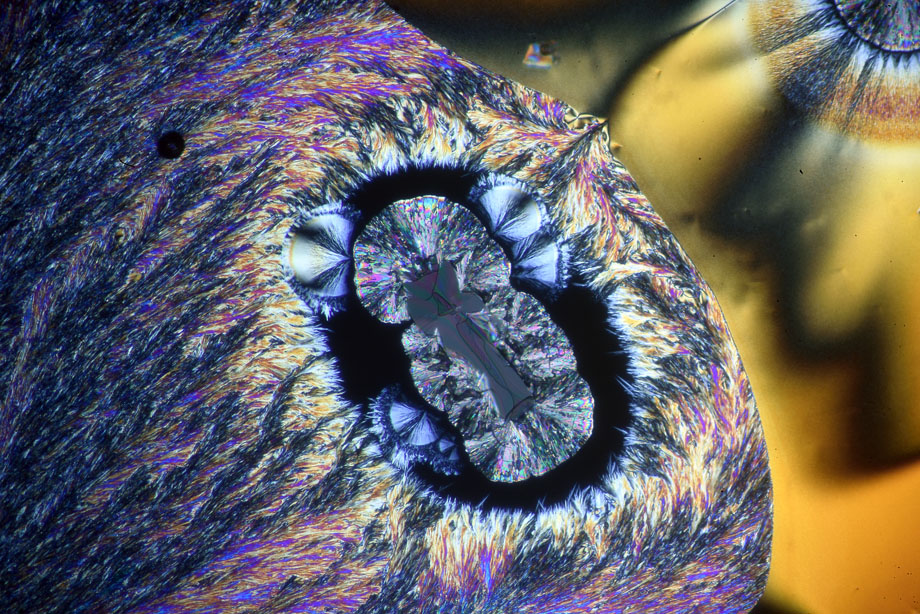 Ascorbic Acid crystals in crossed polarizers with Diaphot TMD and DIC condenser.